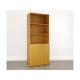 Шкаф комбинированный (К-51) Менеджер