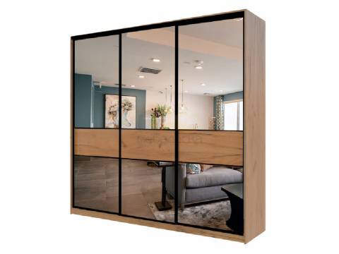 Шкаф-купе Max МШ-25-6-24/2-666