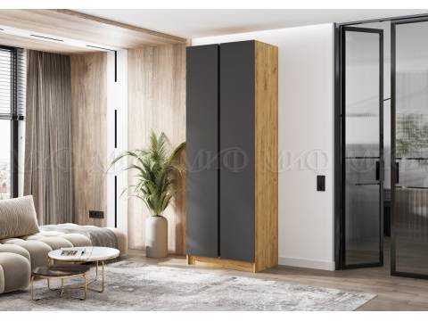 Шкаф двухстворчатый Келвин (800) Графит, Дуб Крафт-вставка черная