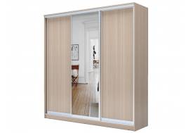 Шкаф-купе Хит 22-20/2-151