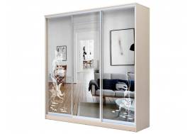 Шкаф-купе Хит 22-4-18-656